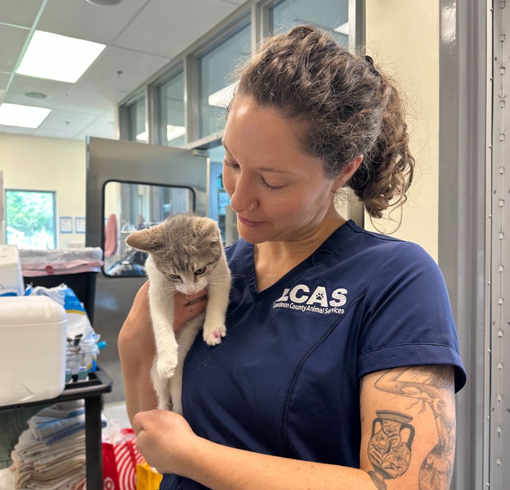 On of our veterinarians snuggles Rebar the kitten.