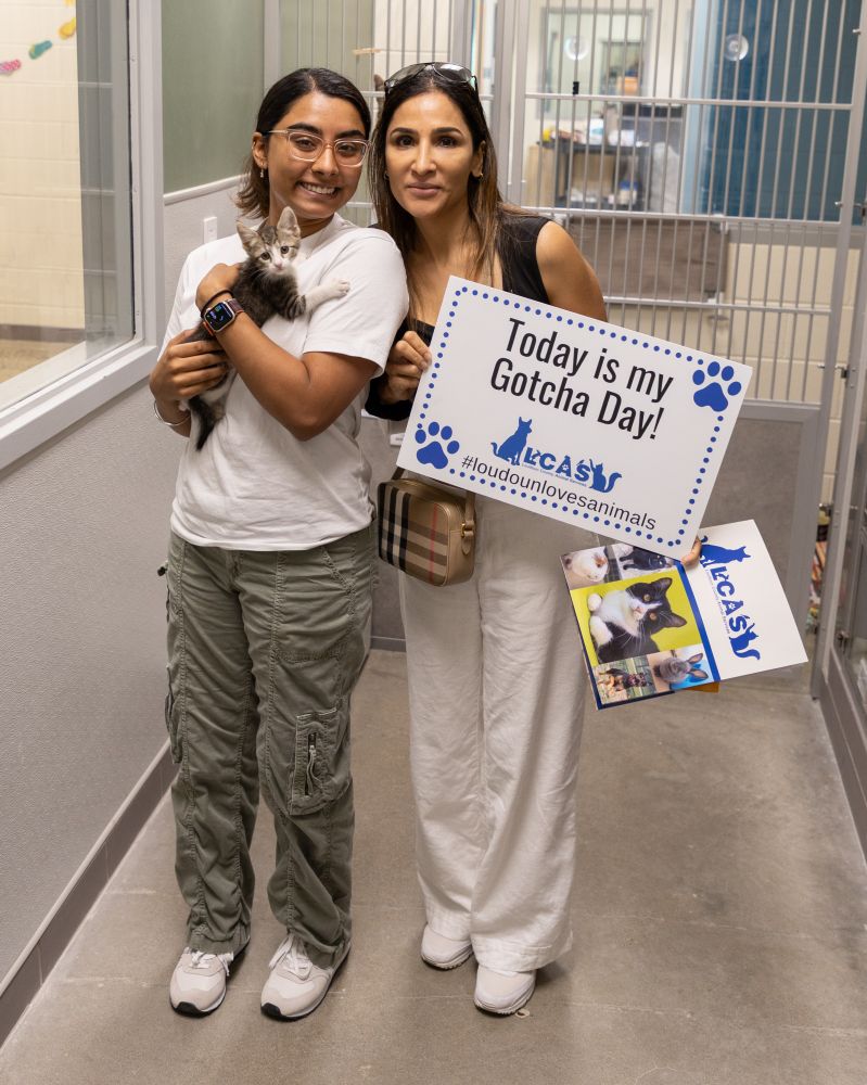 Two people hold a kitten and a sign saying 
