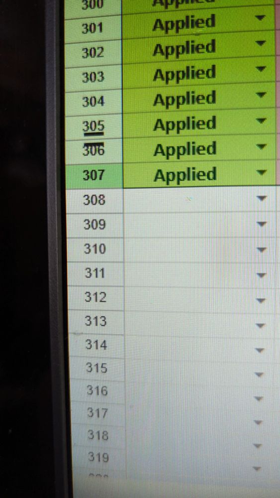 Picture of computer screen Excel sheet showing 307 jobs applied for 
