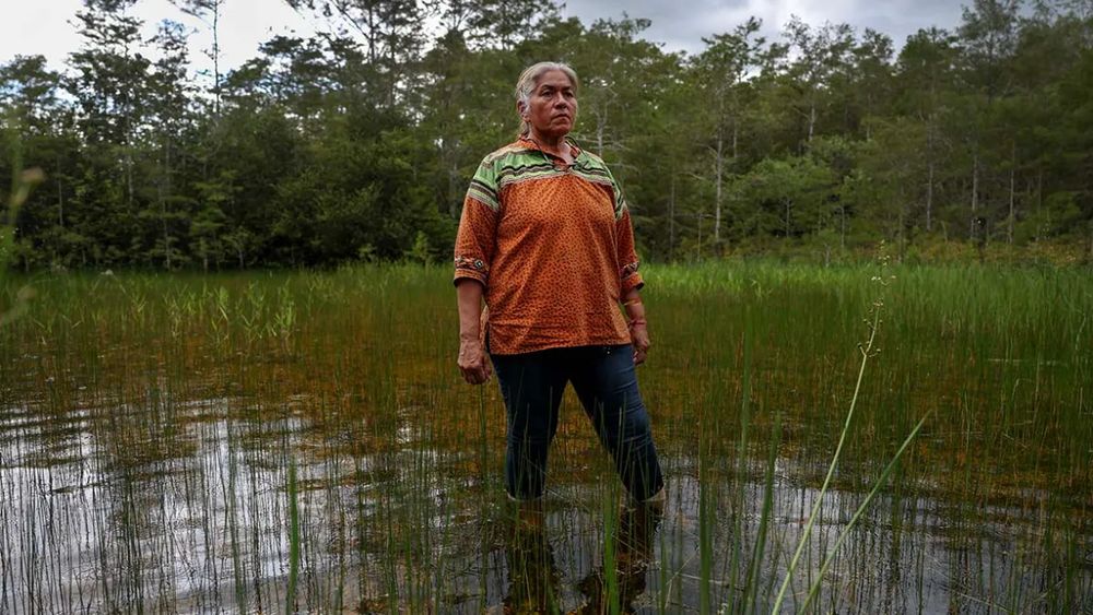 Betty Osceola, a member of the Miccosukee Tribe of Indians of Florida, stands in the Everglades a few yards from the front entrance to 