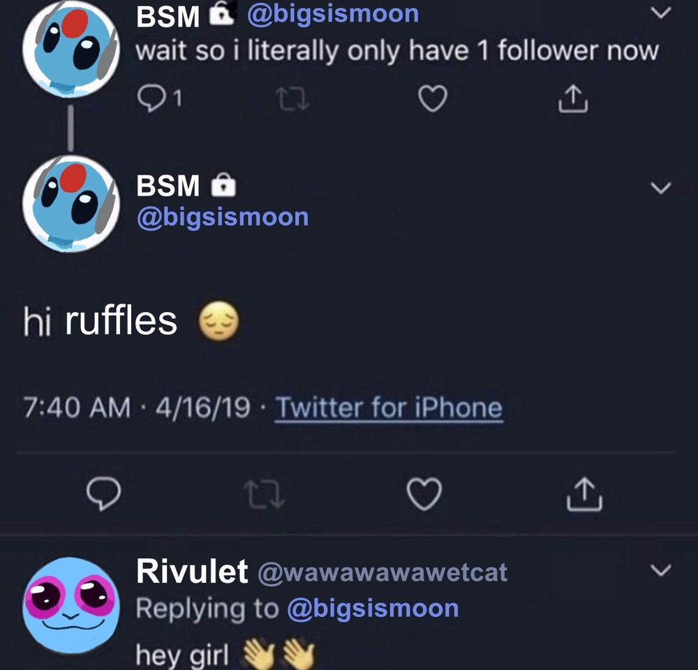 Edited Twitter screenshot. User BSM (@bigsismoon) says: "wait so I literally only have 1 follower now" "hi ruffles (pensive emoji)" to which user Rivulet (@wawawawawetcat) answers: "hey girl (waving emoji)". The characters have icons drawn as their profile pictures.