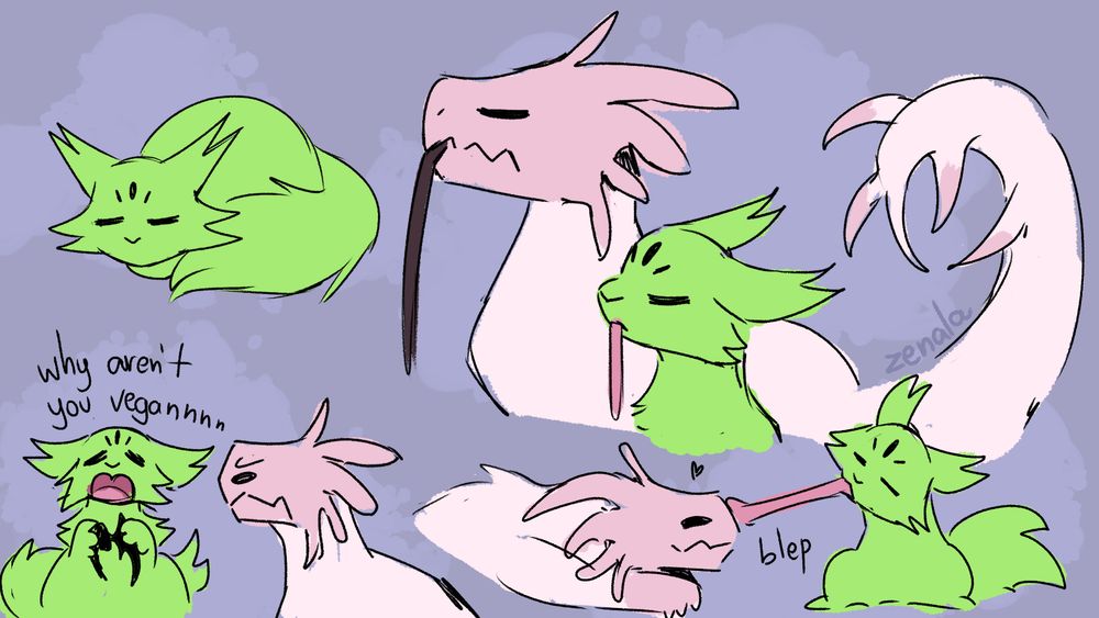 Sketch page of Saint from Rain World with a Strawberry Lizard. On the left, there's a doodle of Saint loafing alone. Under it, there's a chibi drawing of Saint holding a batfly with a distressed face saying "why aren't you vegannnn" while the lizard looks angry. On the center/right, there's a drawing of both animals in a side profile, eyes closed and long ttongues out. Underneath it, there's a chibi drawing of Saint using their tongue on the laying down lizard's nose, who looks very pleased with the action. 