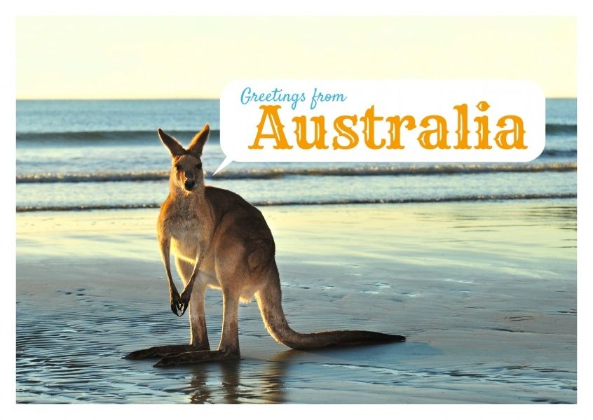 Postcard of kangaroo on a beach. Text reads: Greetings From Australia