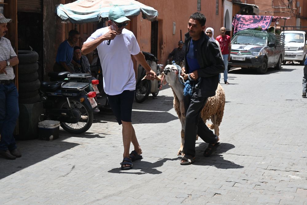 This goat about to get got.