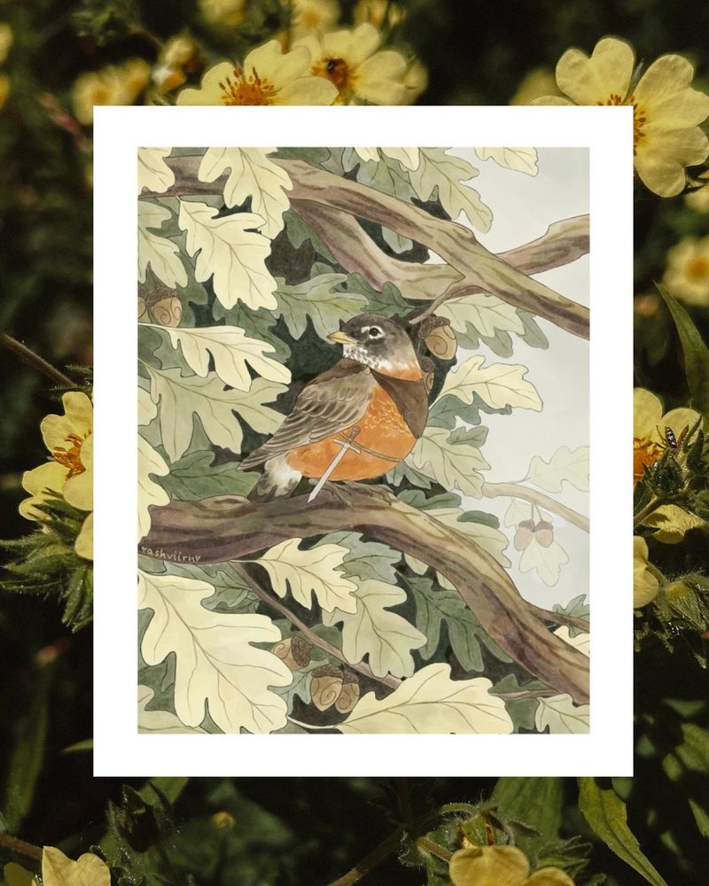 Displays a print of a Robin adventurer sitting on an oak branch with a little brown cloak and sword 