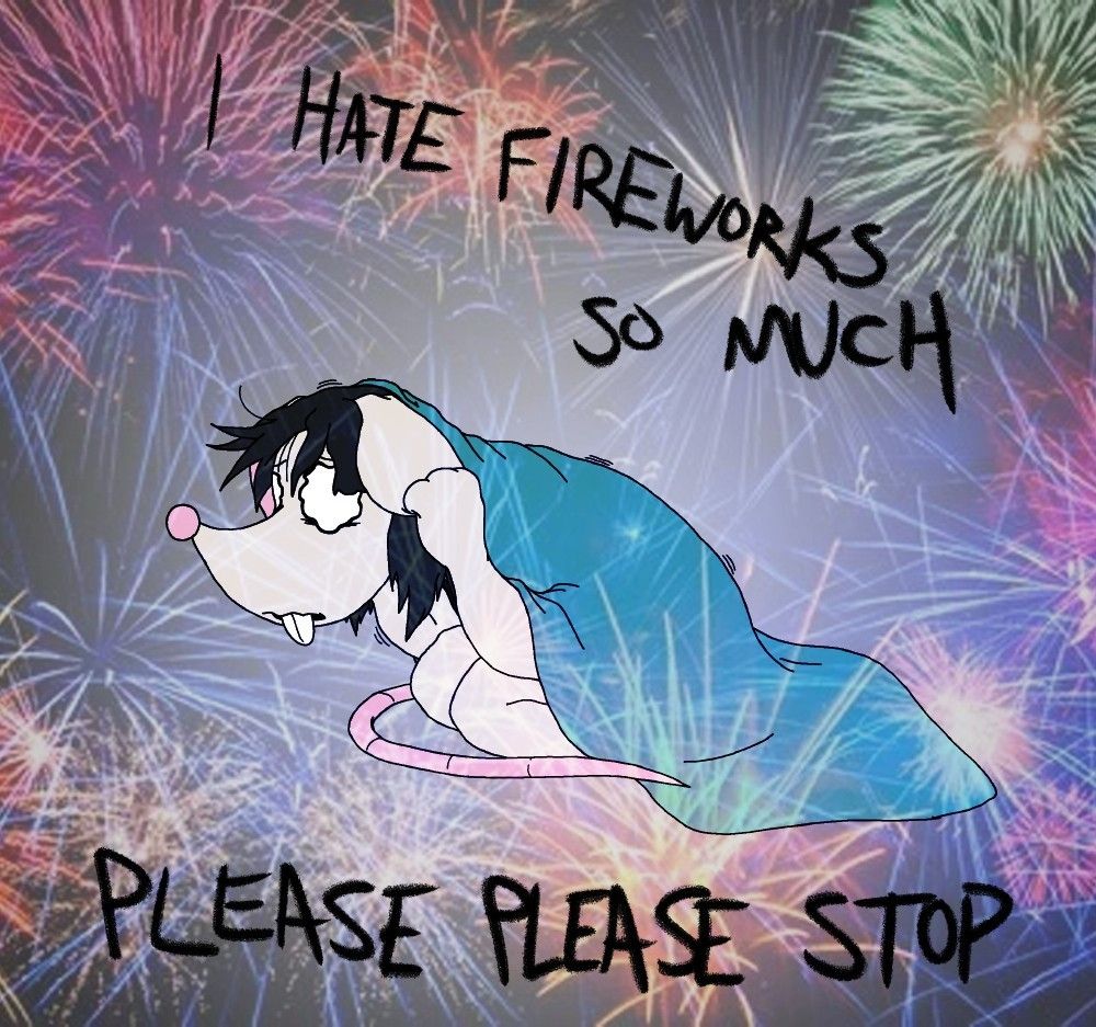 Rat Lynn cowering under a blanket and pulling her ears down to hide from fireworks.

It is captioned:
"I hate fireworks so much!  Please please stop!"