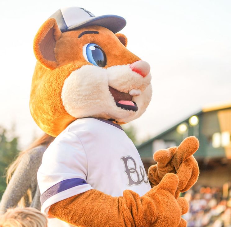 DInger the Bellinghamster (https://bellinghambells.com/bell-ringer-meet-our-mascot/)