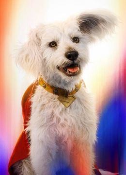 A good boy!