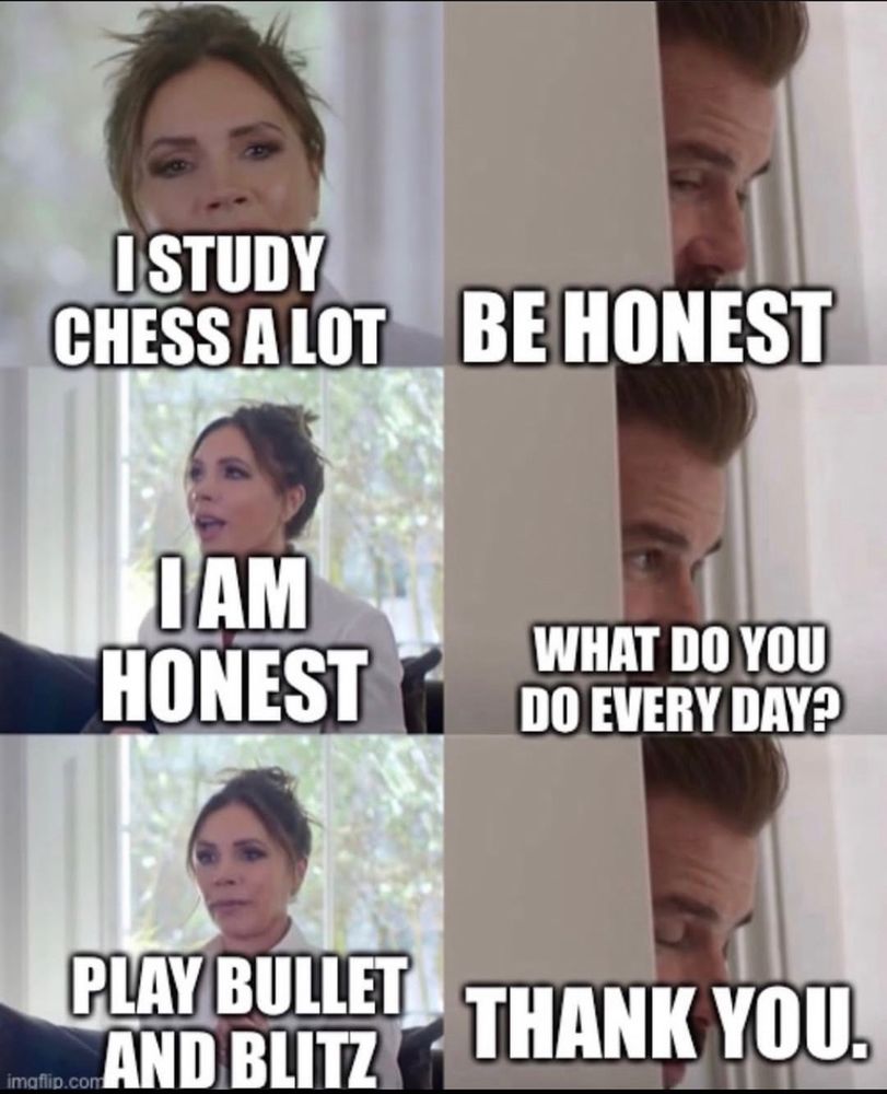 What are your chess plans for christmas? 