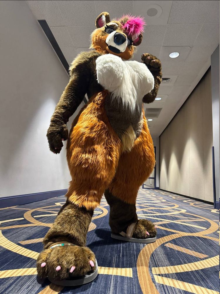 Photograph of Cumin the tanuki's fursuit from a low angle, making her look quite tall and intimidating... despite only being not much more than five feet in real life, oops! Her fur is shades of brown and copper, with a pink hair poof, blue septum (nose) ring, and visible breasts ('cause she's a curvy suit!)