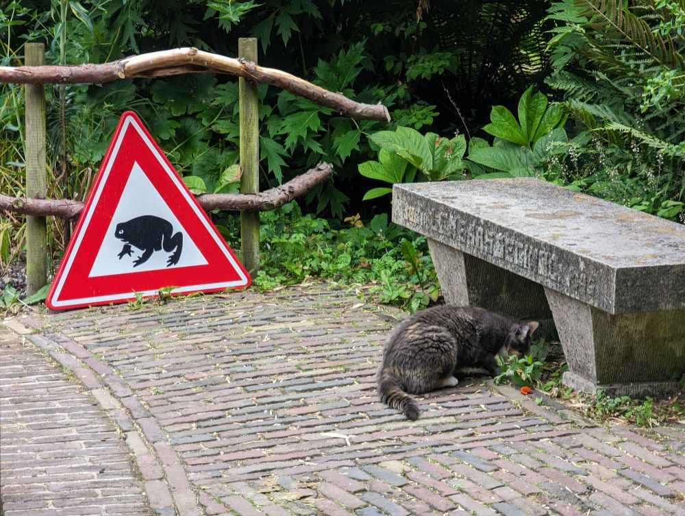 A brick pavement with greenery on the outside. There's a place to sit with a cat crouching underneath it. To the left of the cat, there's a red hazard sign with a picture of a frog on it.