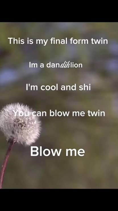 Blow me twin