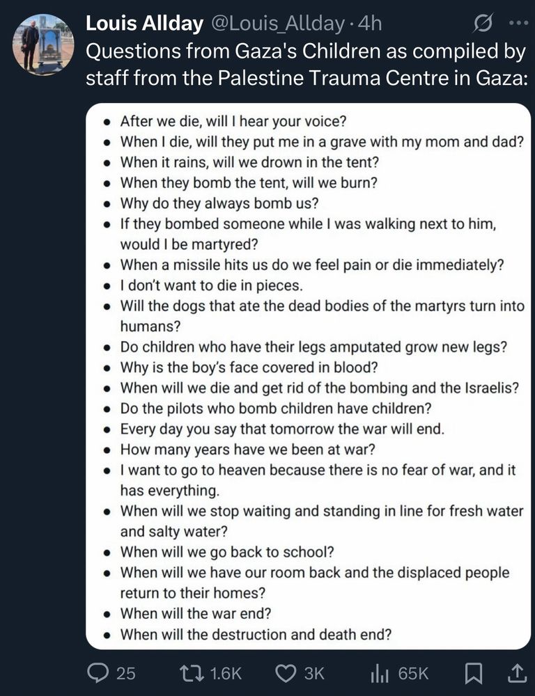 Questions from Gaza’s Children as compiled by staff from the Palestine Trauma Centre in Gaza