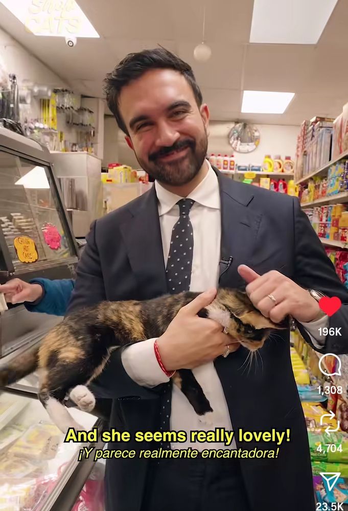 The hottest guy on the planet (Zohran) with a cat