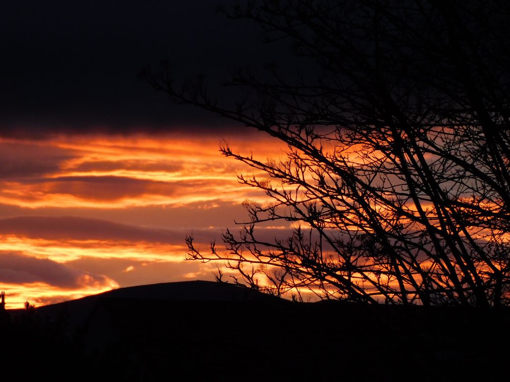 Orange in the sky through the trees over Aviemore.