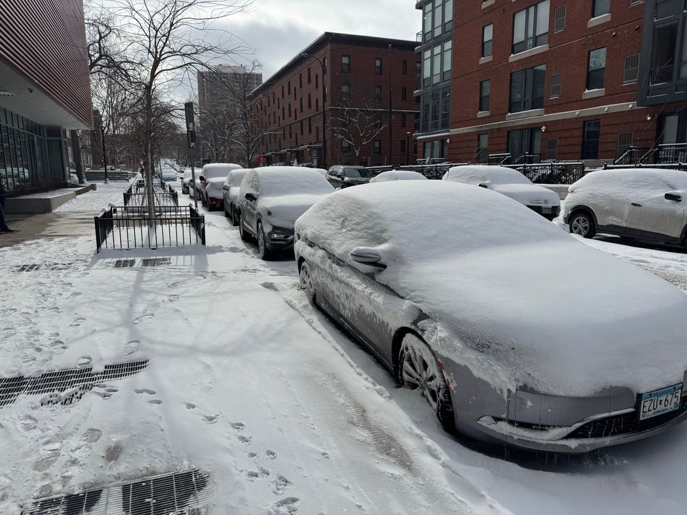Snow covered parked cars in daylight, long after the snow has ended. 