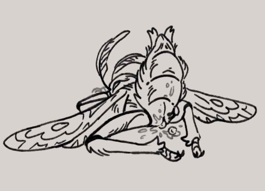 Black and white digital sketch of an anthropomorphized moth laying down belly first with its wings splayed to each side, its legs spread and its abdomen arched upward. It spreads the vaginal slit at the base of its abdomen with its fingers and round, wet eggs fall out.