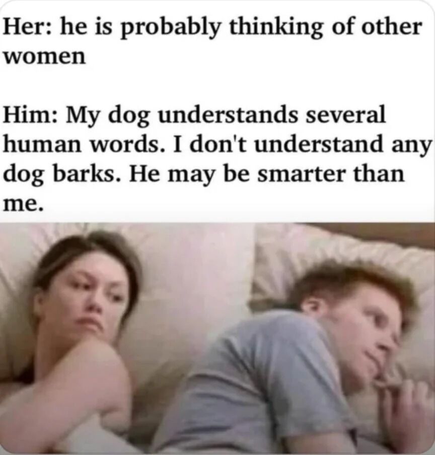 An image macro-based meme in which a man is lying in bed looking pensive while a woman, who he has his back to, lies in the same bed looking at him concerned.  

The included caption text reads as follows;

"Her: he is probably thinking of other women

Him: My dog understands several human words. I don't understand any dog barks. He may be smarter than me."