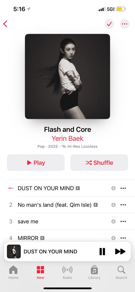 Flash and core by yerin baek