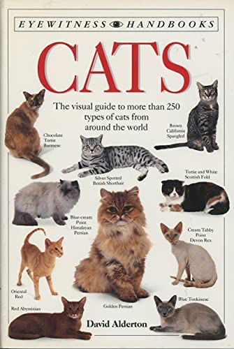 Cats book