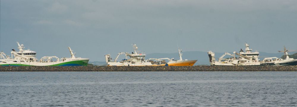 3 similar looking fishing vessels in different colours laying next to each other