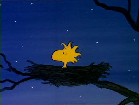 comic vogel woodstock sitzt in seinem nest und guckt in die dunkelheit