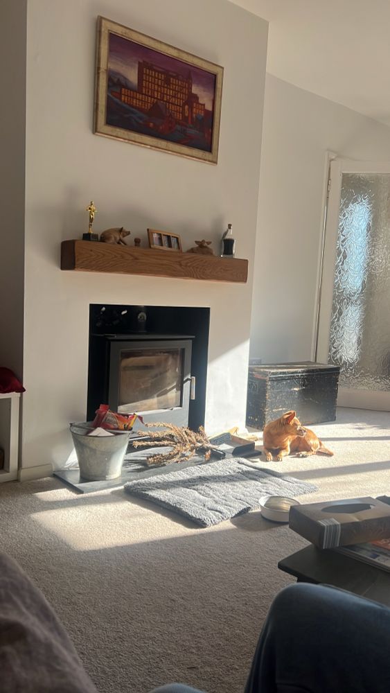 A jackhuahua lounging in the sun by a fireplace. 
