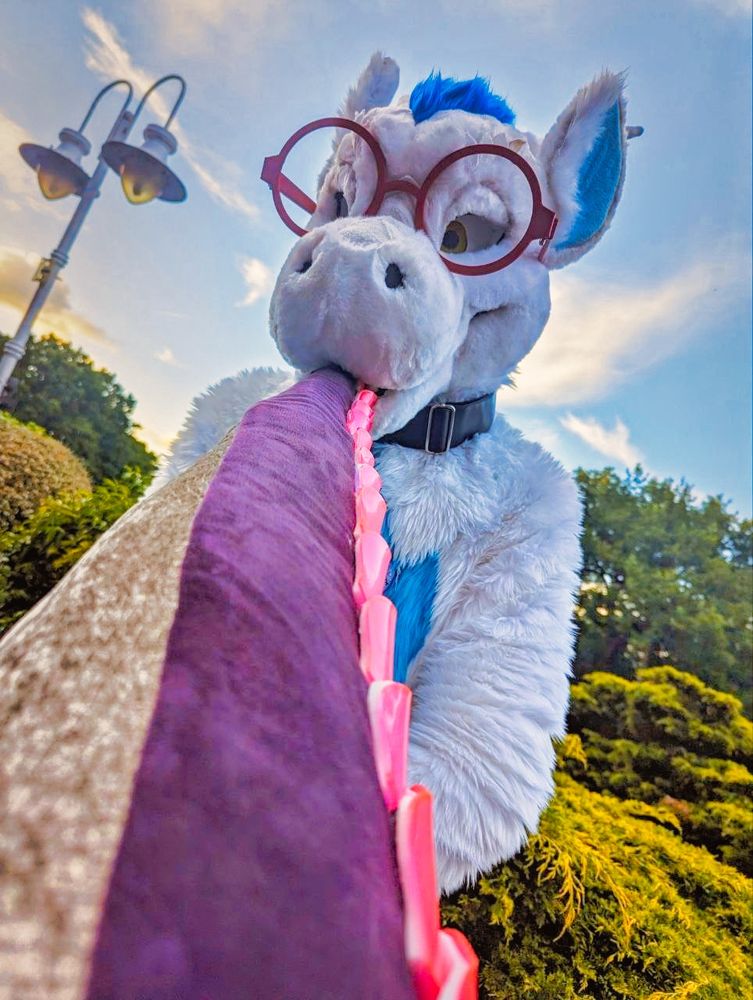 a white dragon fursuiter wearing round red glasses with the tail of another dragon fursuit in his mouth