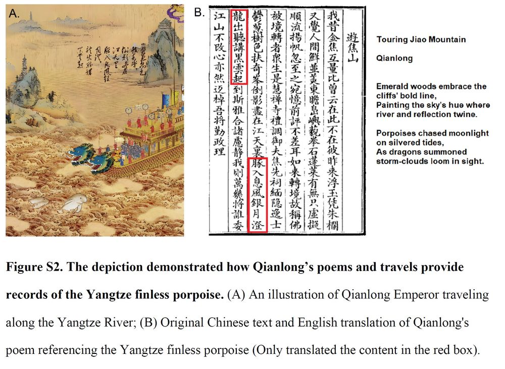 Screenshot of a supplementary figure from the research paper. The caption reads: "Figure S2. The depiction demonstrated how Qianlong’s poems and travels provide records of the Yangtze finless porpoise. (A) An illustration of Qianlong Emperor traveling along the Yangtze River; (B) Original Chinese text and English translation of Qianlong's poem referencing the Yangtze finless porpoise (Only translated the content in the red box)." The illustration (A) shows curlicued waves in the foreground, with two porpoises breaching in front of a royal river boat with two dragon figureheads. The background features karst landscape, gentle water, and a few buildings fading into the distance. Chinese script is overlaid in the top right. Next to the print of the original Chinese text (B) is a translation in English that reads: "Touring Jiao Mountain, Qianglong" followed by the text I quote in my skeet.