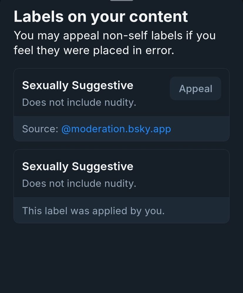 Screenshot of duplicate labels applied to BlueSky post