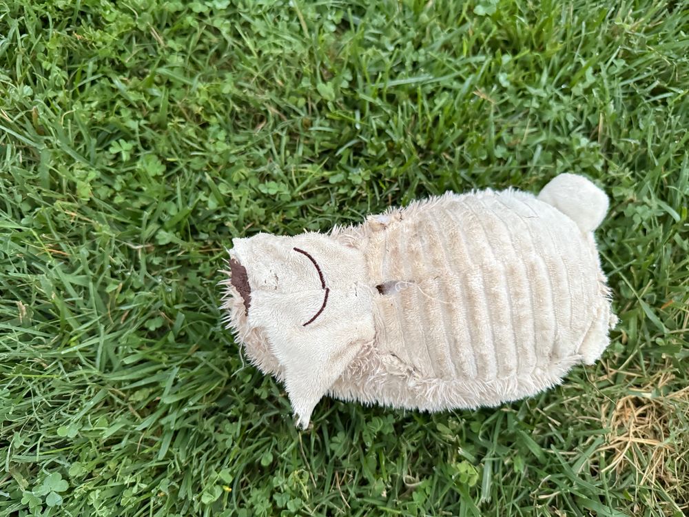 A close-up view of the former hedgehog stuffed toy. Its head is devoid of stuffing eyes and ears, but it keeps on smiling.