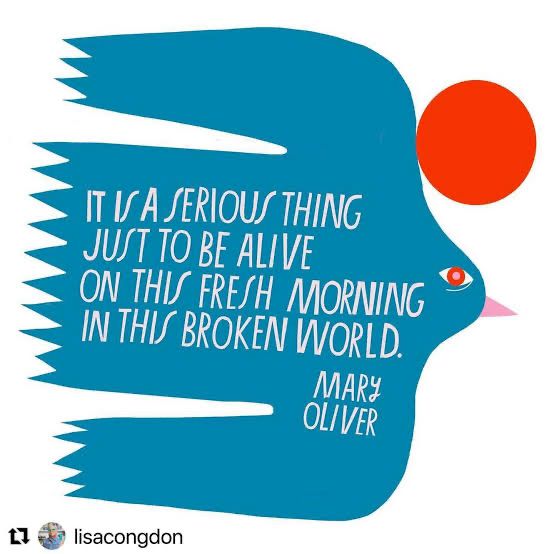 “It is a serious thing just to be alive on this fresh morning in this broken world.” Mary Oliver