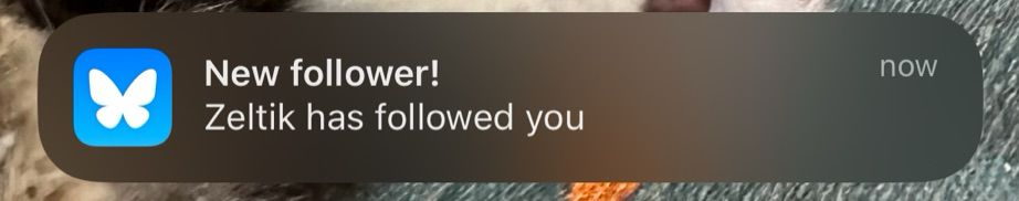 bluesky notification saying “Zeltik has followed you”