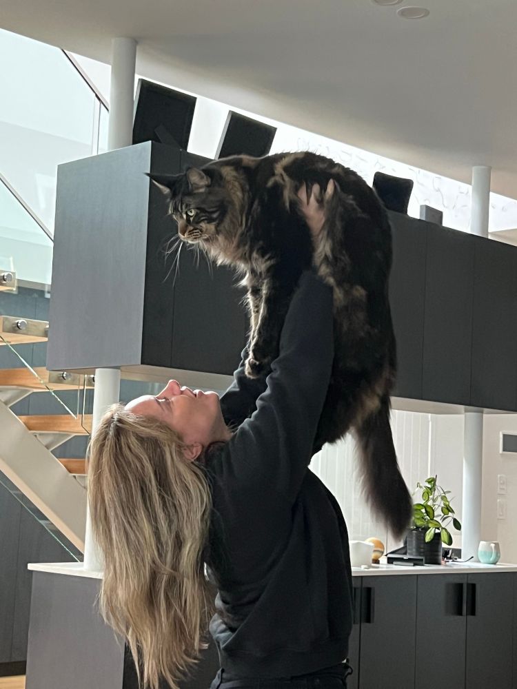 Woman lifting a 8.5kg cat in the air like a baby.