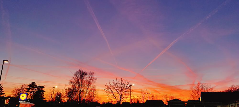 Viele, durch die Abendsonne angestrahlte Kondensstreifen, am unteren Rand einige Bäume und Dächer ersichtlich, sowie ein beleuchtetes Lidl-Werbeschild.