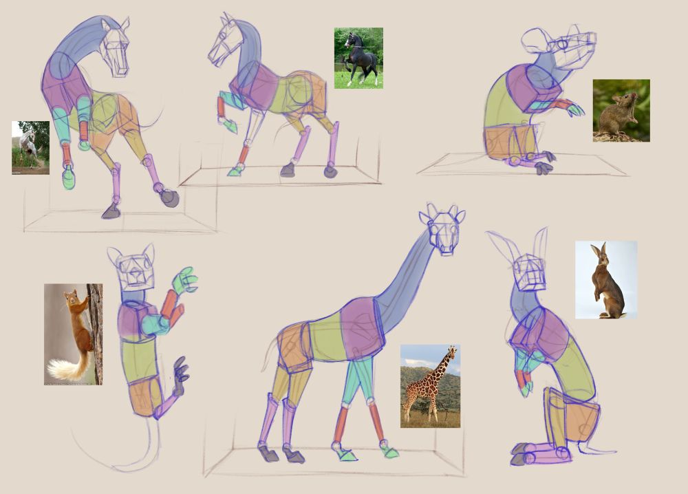 Sketches of the basic shapes that make up a bunch of different prey animals, coloured to show the shapes more clearly 