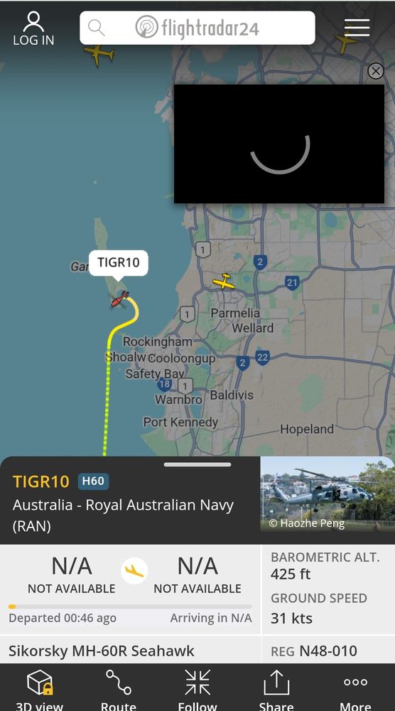 Flightradar24.com tracking a Cessna over Medina, and a RAN Seahawk over Garden Island. Police helicopter not marked. 