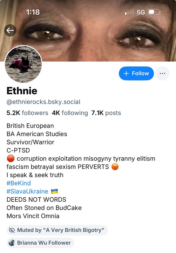 Screenshot of user’s account info that reads:

Ethnie @ethnierocks.bsky.social
5.2K followers 4K following 7.1K posts
British European
BA American Studies
Survivor Warrior
C-PTSD
[stop sign] corruption exploitation misogyny tyranny elitism
fascism betrayal sexism PERVERTS
I speak & seek truth
#BeKind
#SlavaUkraine E
DEEDS NOT WORDS
Often Stoned on BudCake
Mors Vincit Omnia
@ Muted by "A Very British Bigotry"
ư Brianna Wu Follower