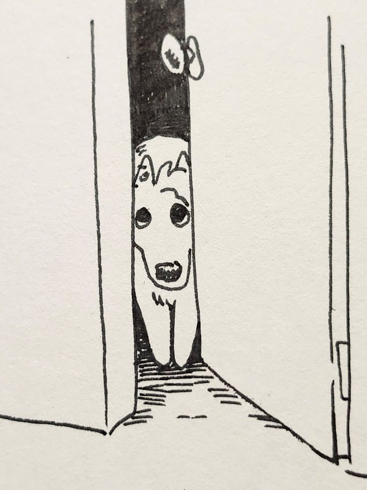 A drawing of a small wolf with long hair standing there, peeking from out of the darkness though a crack in a door.