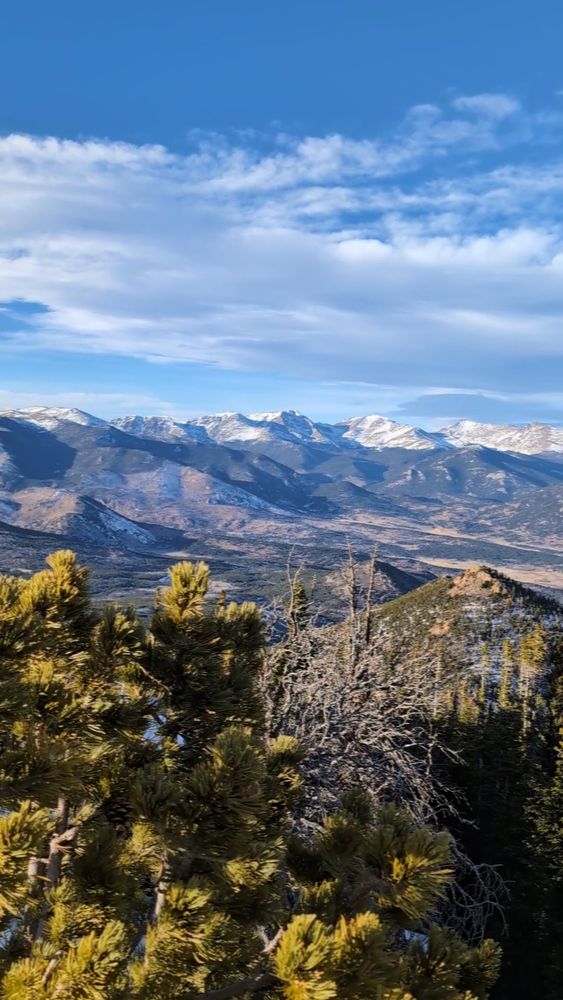 Snow capped mountains in the far distance with fir trees in the foreground