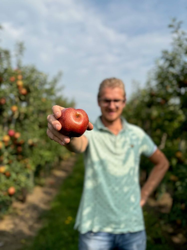 Wij gaan 160.000 kg appels en peren redden | No Waste Army