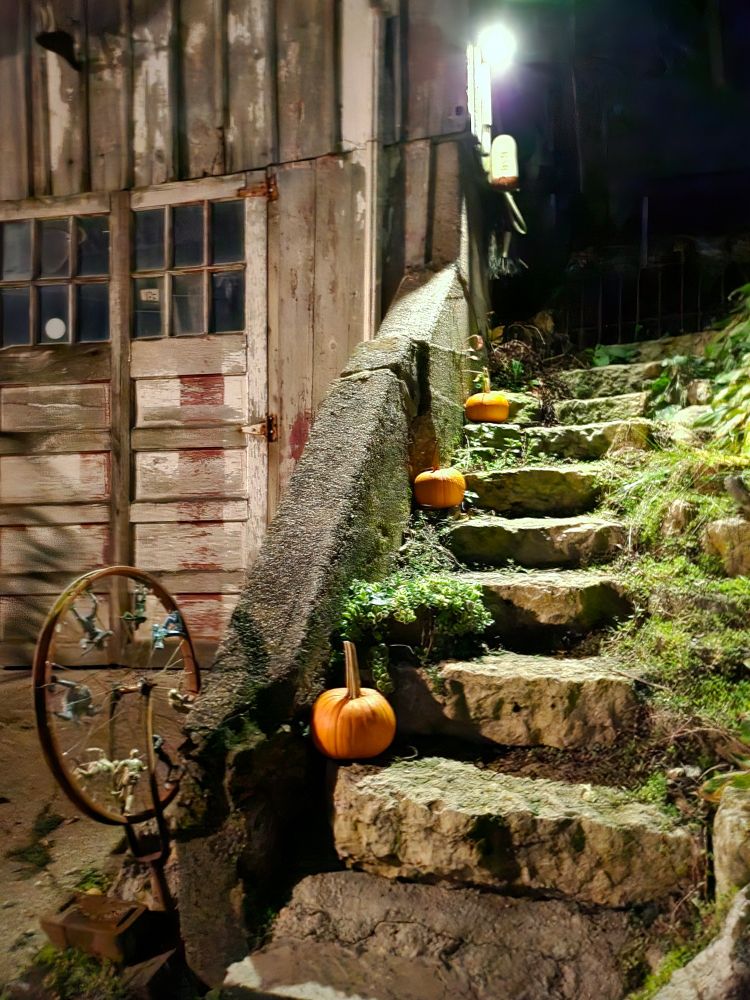 Pumpkins on mossy stone steps. Weathered gray wood building in side of hill adjacent to steps