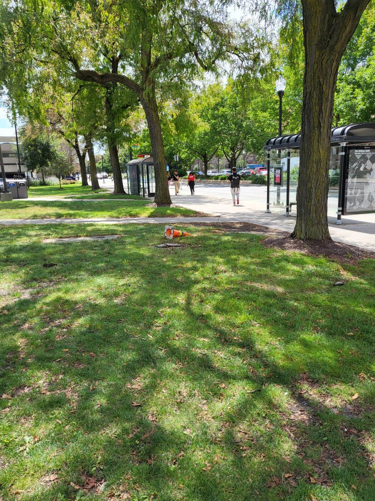 In orange cone lying on its side in a grassy area behind a bus stop