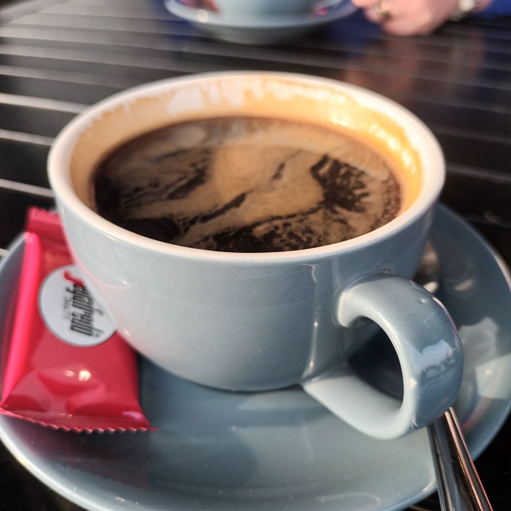 the cup of coffee I drank this morning