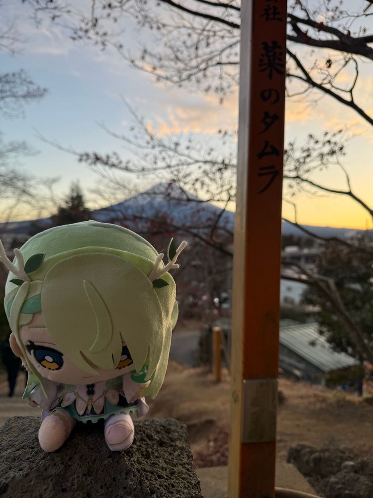 Fauna on a stone pillar with Mt. Fuji behind her. FoV focus on her.