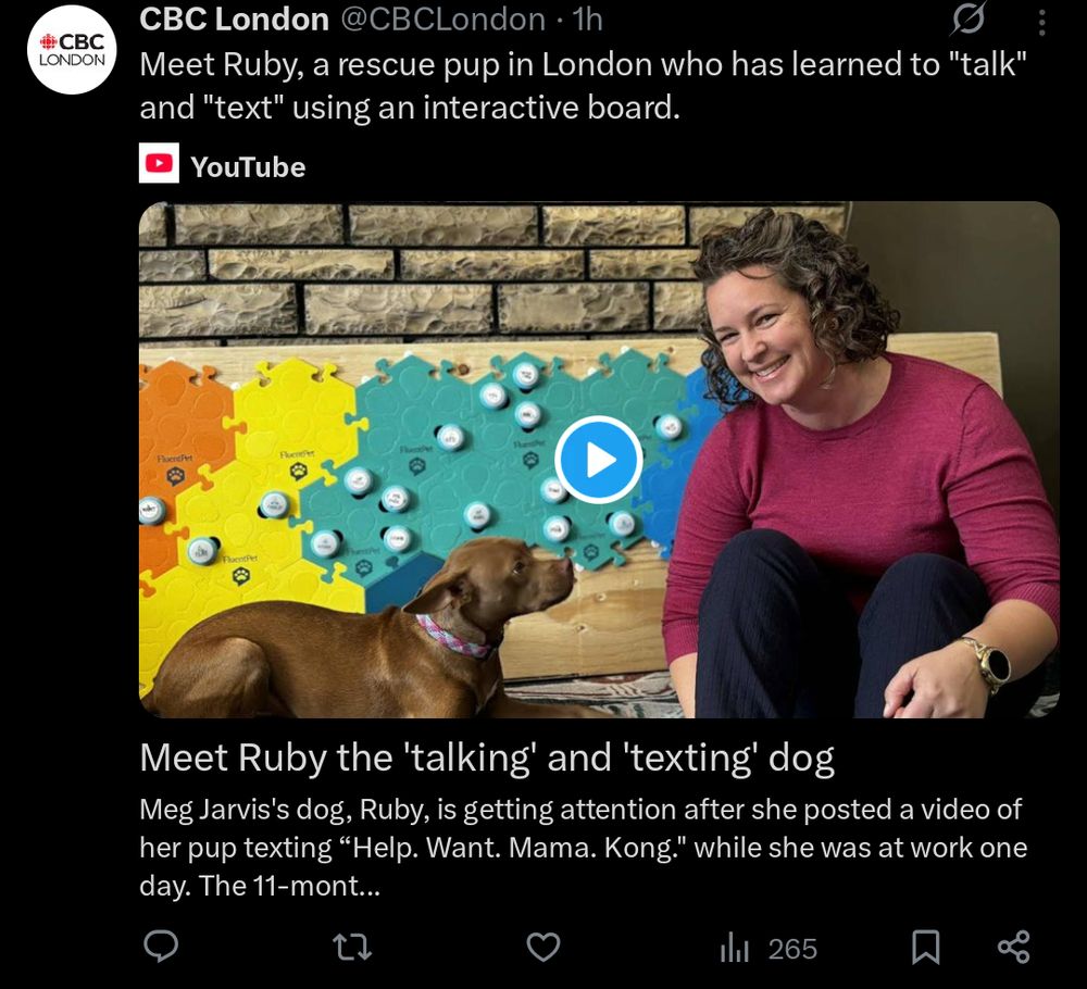 X post from @CBCLondon reading "Meet Ruby, a rescue pup in London who has learned to 'talk' and 'text' using an interactive board." and linking to a YouTube video.