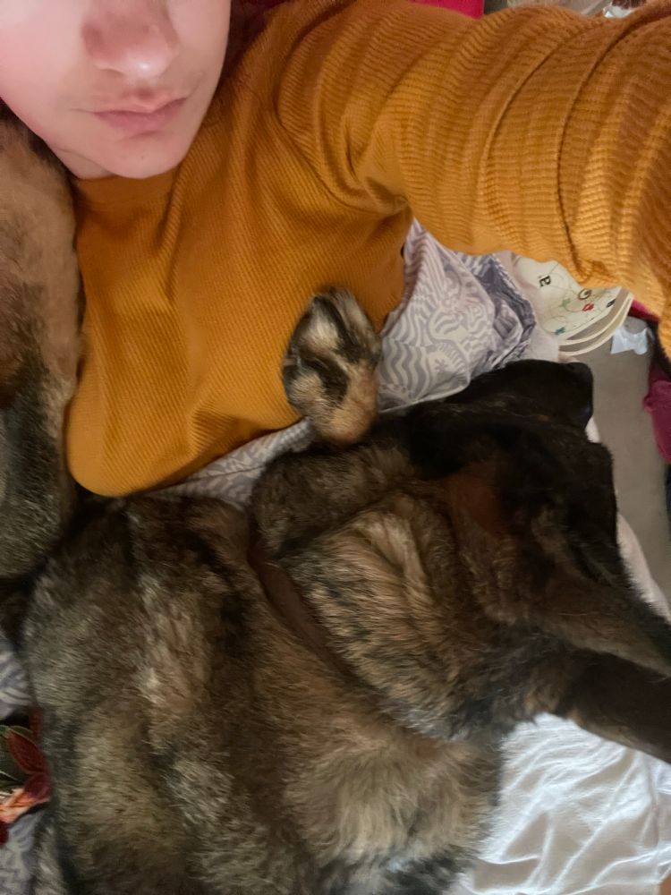 Vertical image of Koda (German Shepherd) laying on Jenna in her bed, taken directly above them, the top half of the photo just Jenna’s lower nose down to her chest is visible, she’s wearing a mustard long sleeve shirt, and under a light tan blanket. Koda lays on top of the blanket with one paw on Jenna’s shoulder, one on her chest, and his head on her lower chest. 