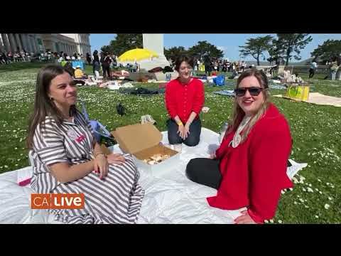 Let them eat cake! You've never seen a picnic like this before!