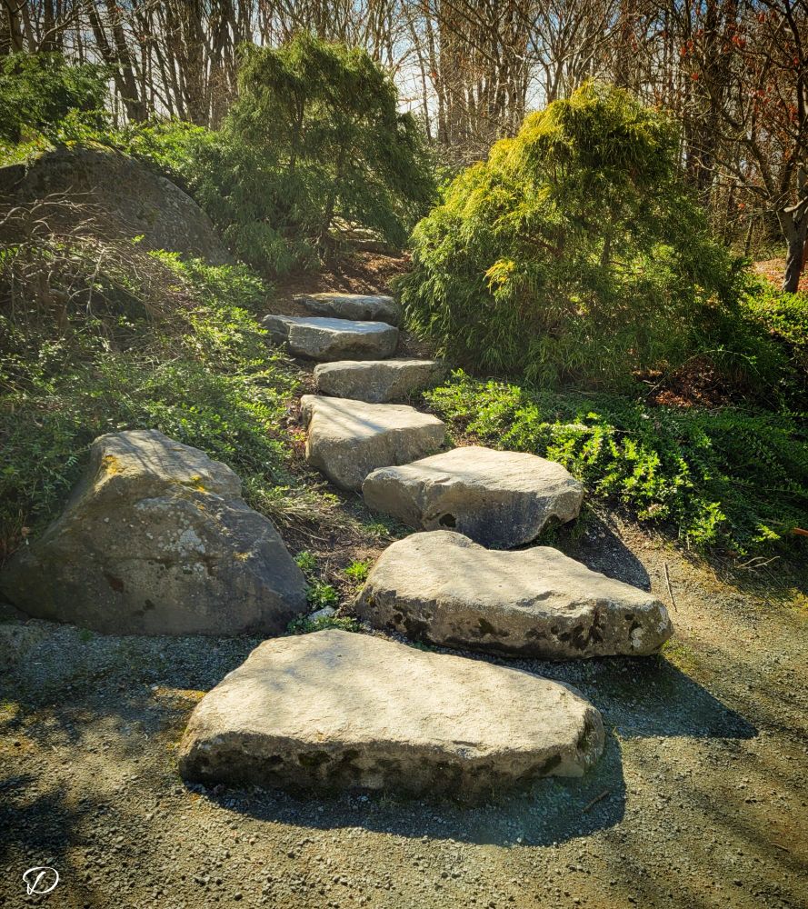 A rock path climbs a small hill to a destination that cannot be seen. Green foliage and trees can be seen on either side with larger trees in the background. Take the paths, take the chances.