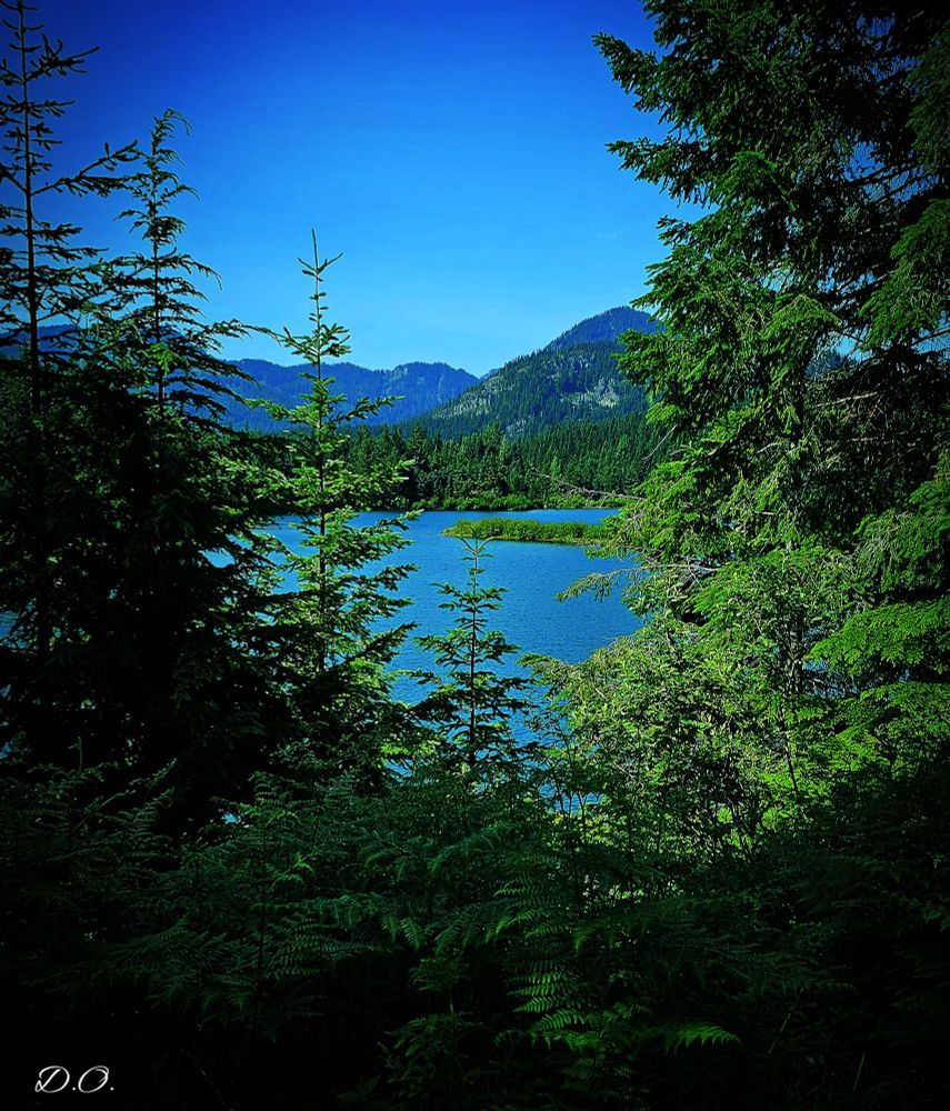 A pristine blue mountain lake can be seen through the frame of lush evergreens. Mountains covered by fit trees can be seen in the background with a cloudless blue sky up above.